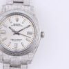 wsxc1788906046631_3 Oyster Perpetual Art.No.119644